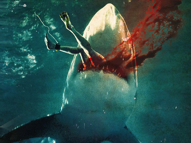 Shark!