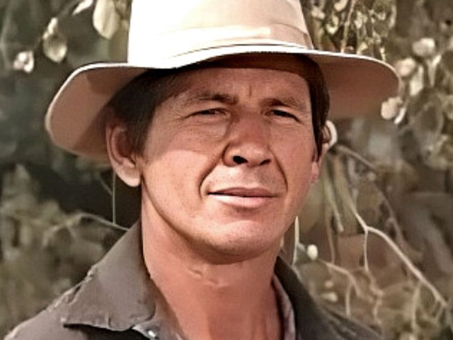 The Bull of the West